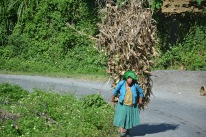 Armut Vietnam LOAN Stiftung