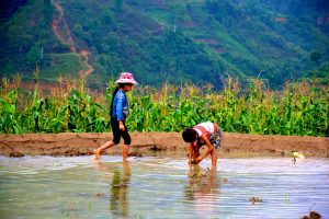 Kinderarbeit Vietnam Hilfsprojekte LOAN Stiftung