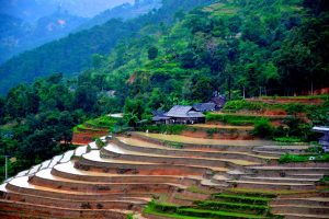 Vietnam Hilfsprojekte Kinder LOAN Stiftung