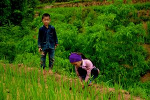 Vietnam Hilfsprojekte Kinder LOAN Stiftung