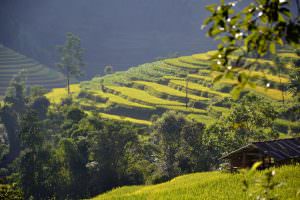 LOAN Stiftung in Vo Thau Chai