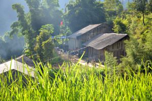 LOAN Stiftung in Vo Thau Chai