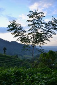Besuch in Vo Thau Chai Nordvietnam