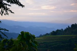 Landschaft in Nordvietnam