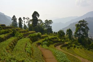 LOAN Stiftung baut in Hop Nhat Nordvietnam