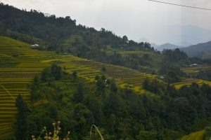 LOAN Stiftung baut Kindergarten in Ha Giang
