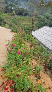 Jugendhilfe in Vietnam von der LOAN Stiftung