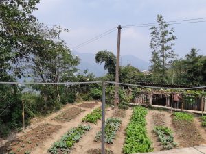 LOAN Stiftung hilft Xin Man
