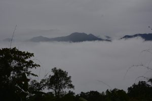 _DSC8476