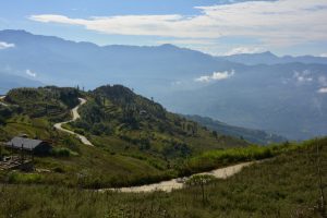 _DSC8703