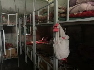 LOAN Stiftung Schule Internat Vietnam