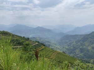 IMG_3563