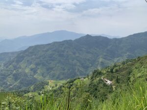 IMG_3565