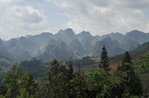 IMG_0278