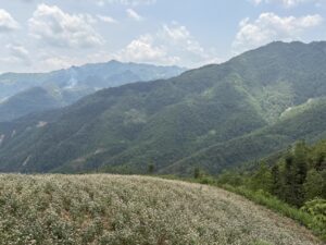 IMG_0484