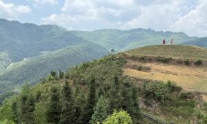 IMG_0485