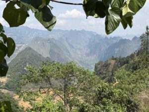 IMG_0534