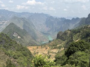IMG_0537