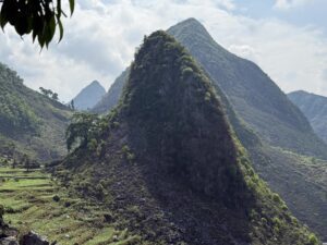 IMG_0575