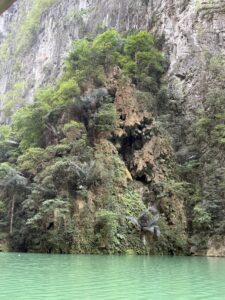 IMG_0802