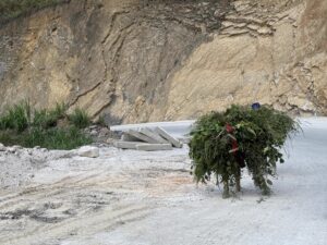 IMG_0902
