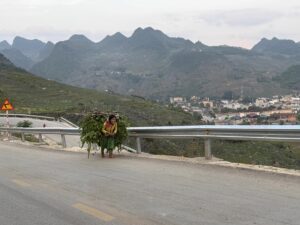 IMG_0941