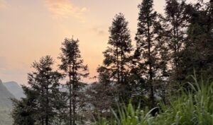 IMG_0954