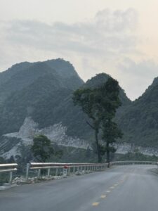 IMG_0956