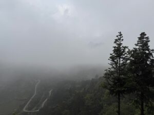 IMG_1154