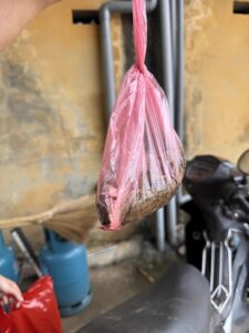 IMG_1218