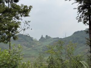 IMG_1228