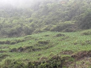 IMG_1244