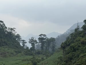 IMG_1527