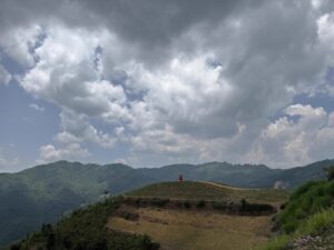 IMG_4459
