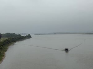 IMG_6146 (1)