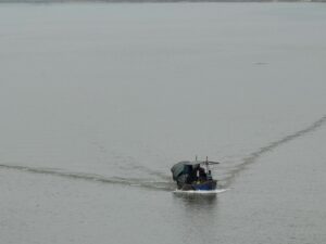 IMG_6147 (1)