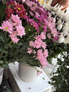 IMG_6156 (1)