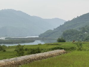 IMG_6481 (1)