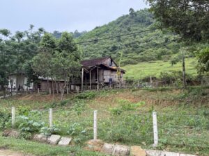 IMG_6483 (1)
