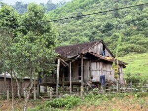 IMG_6484 (1)