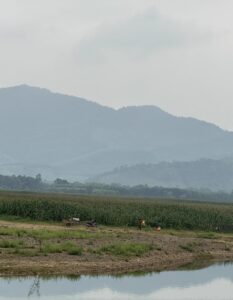 IMG_6543 (1)