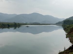 IMG_6572 (1)