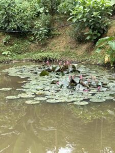 IMG_6573 (1)