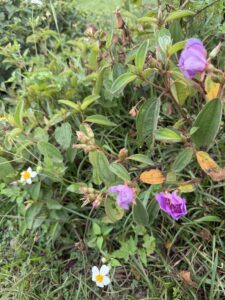 IMG_6687 (1)