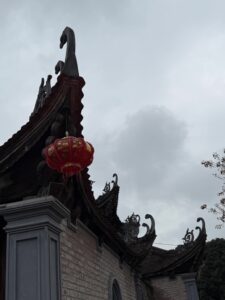 IMG_6728 (1)