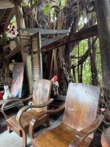 IMG_6883 (1)