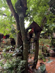 IMG_6886 (1)