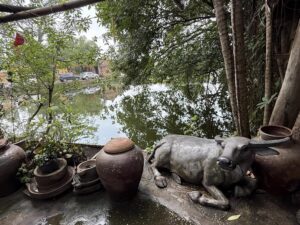 IMG_6891 (1)