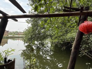 IMG_6893 (1)