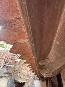 IMG_7090 (1)